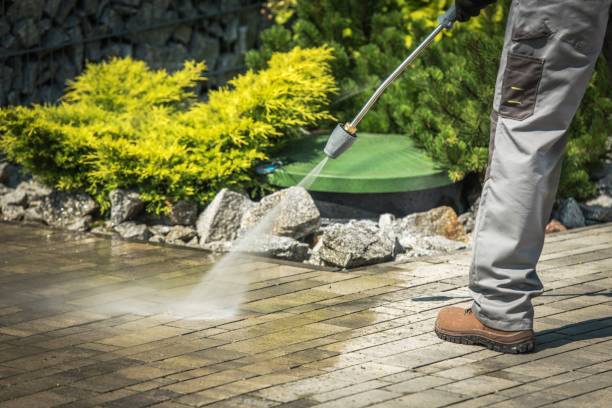 Best Gutter Cleaning  in North Vacherie, LA